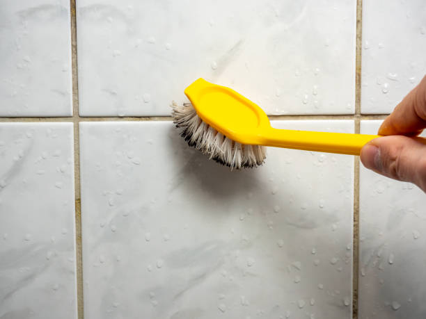 Best Health and Safety Mold Remediation in Elmore, AL